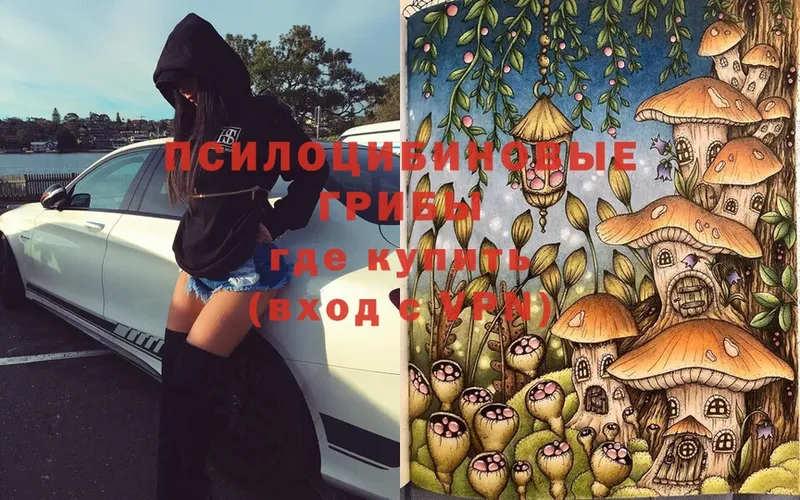 Псилоцибиновые грибы Magic Shrooms Великий Устюг